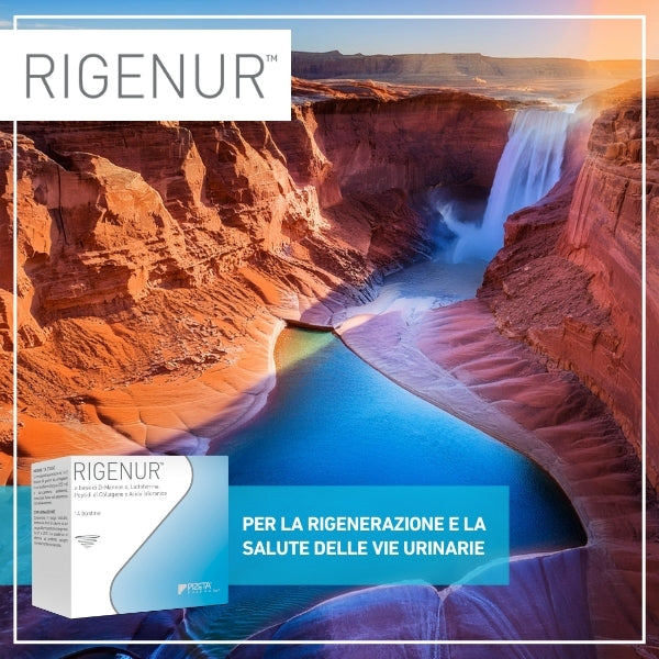 25 SETTEMBRE – EVENTO LANCIO DI RIGENUR: L’INTEGRAZIONE PER LA RIGENERAZIONE DELLE VIE URINARIE