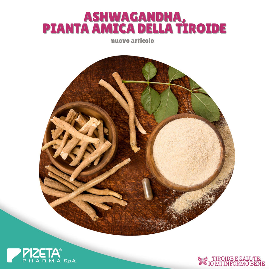 ASHWAGANDHA, PIANTA AMICA DELLA TIROIDE